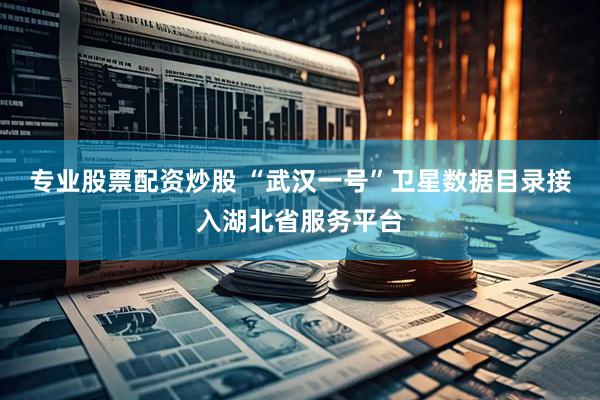 专业股票配资炒股 “武汉一号”卫星数据目录接入湖北省服务平台