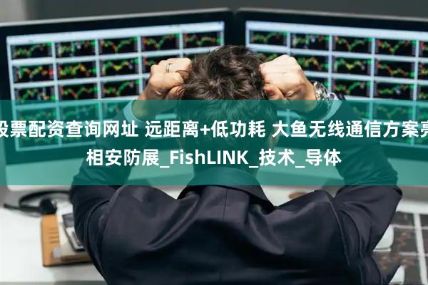 股票配资查询网址 远距离+低功耗 大鱼无线通信方案亮相安防展_FishLINK_技术_导体