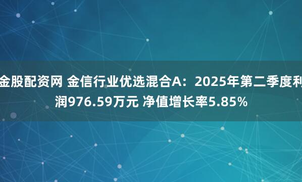 金股配资网 金信行业优选混合A：2025年第二季度利润976.59万元 净值增长率5.85%