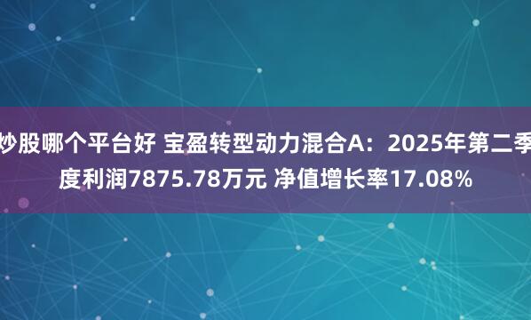 炒股哪个平台好 宝盈转型动力混合A：2025年第二季度利润7875.78万元 净值增长率17.08%